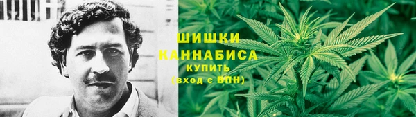 МДПВ Осинники