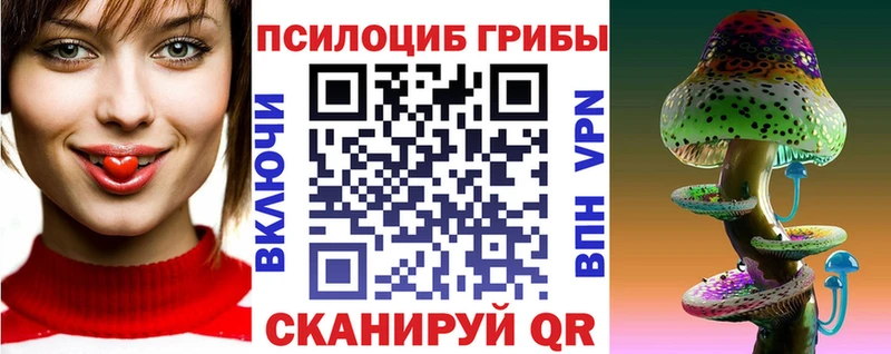 Галлюциногенные грибы Psilocybe Амурск
