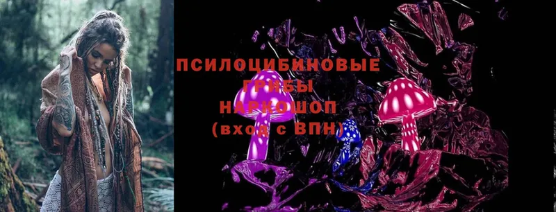 Галлюциногенные грибы Magic Shrooms  Амурск 