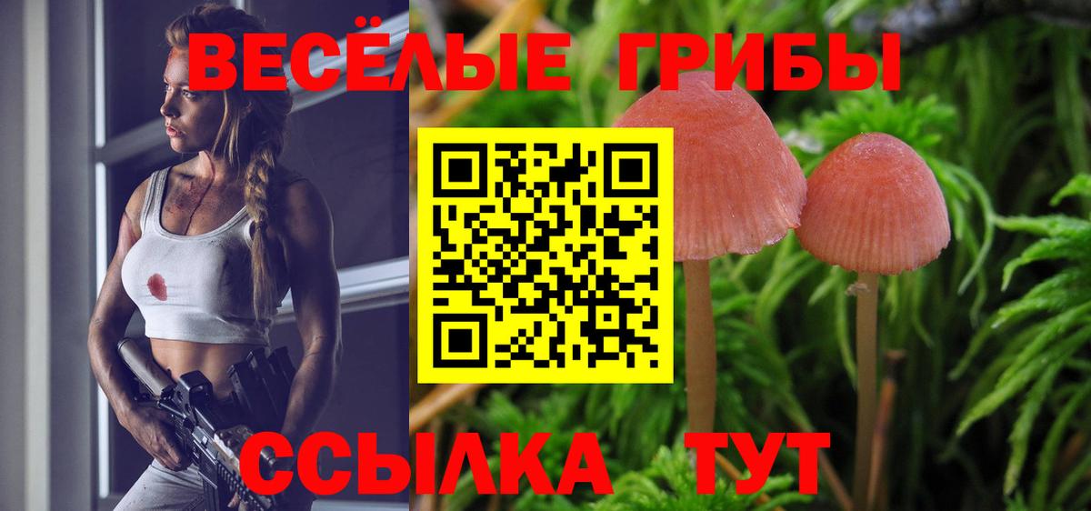 Псилоцибиновые грибы ЛСД  Вход с VPN  Амурск  Галлюциногенные грибы Cubensis 