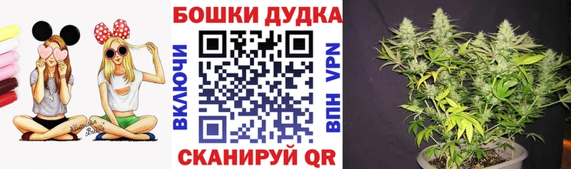 Бошки марихуана сатива Амурск